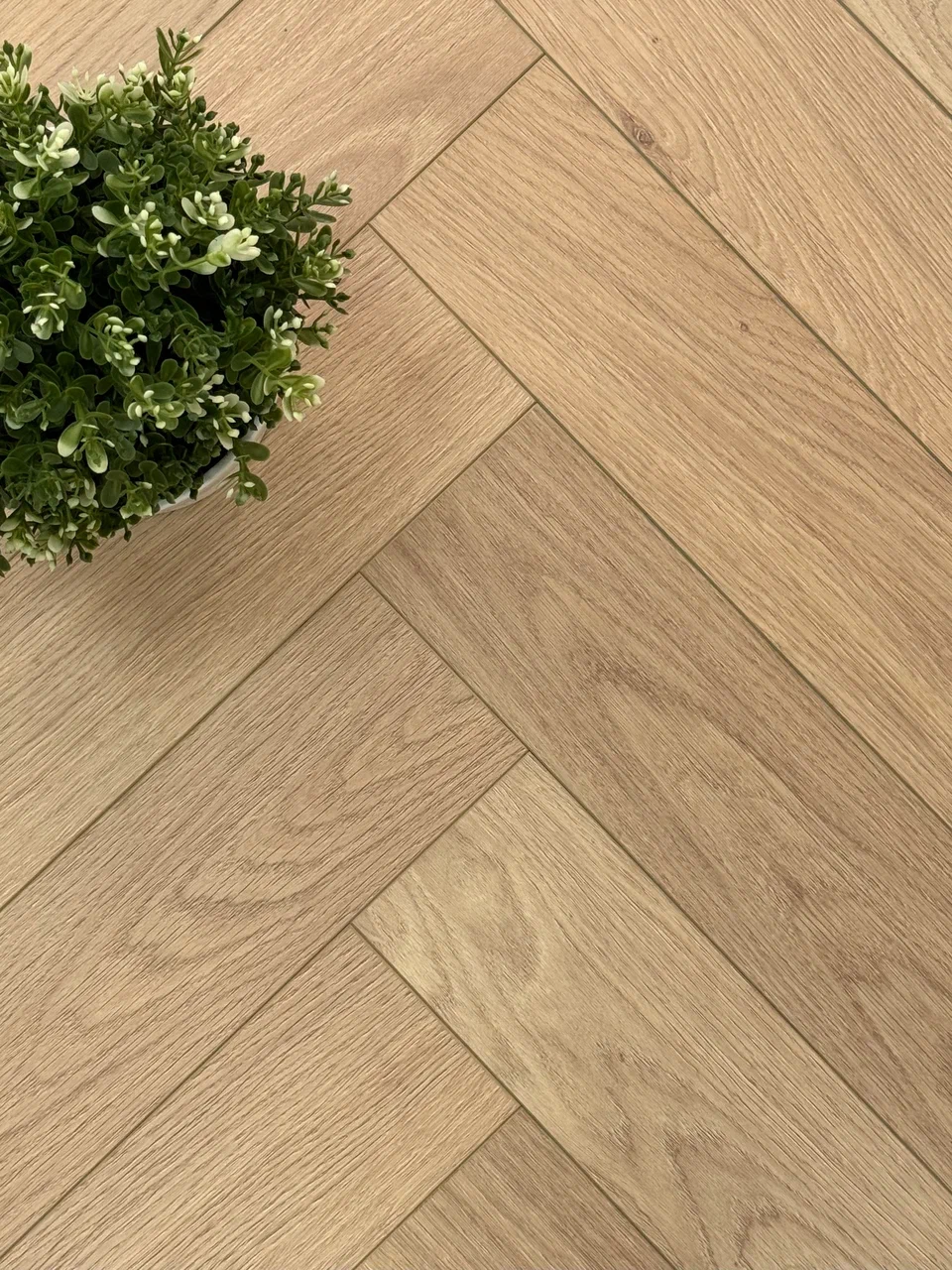 Ламинат Icon Floor Natural Дуб Кювье NT-120
